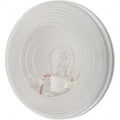 Value Collection - Clear Automotive Back-Up Light | MSC Industrial Supply Co.